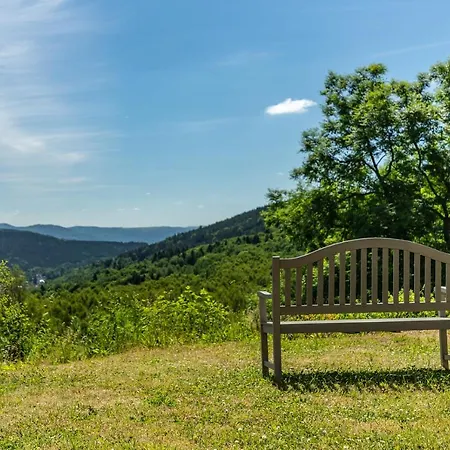 Nad šlikovkou 4* Jáchymov