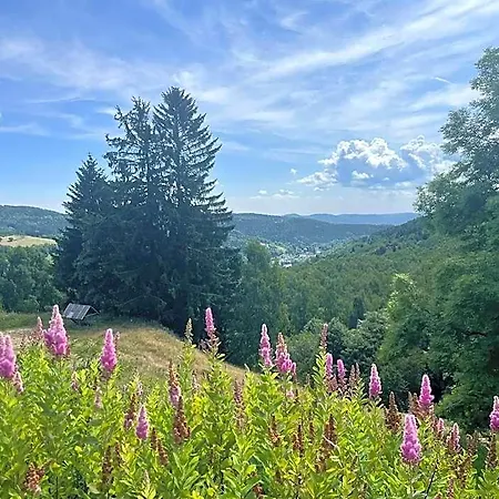 Nad šlikovkou Jáchymov