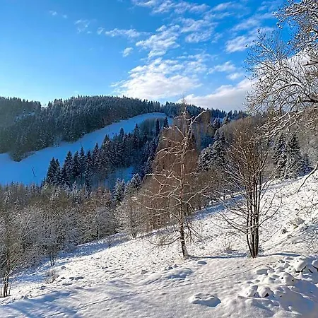 Apart-hotel Nad šlikovkou