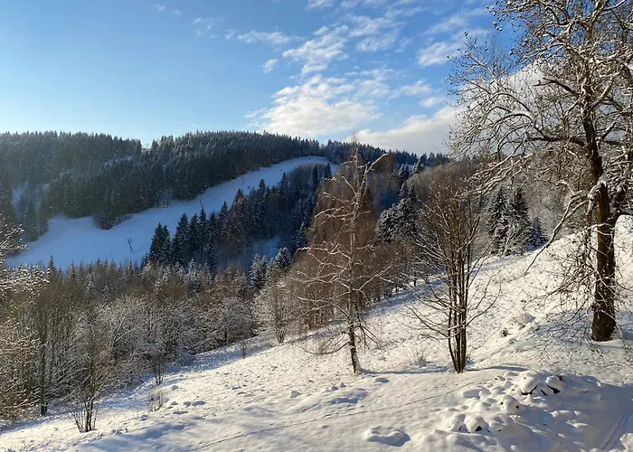 Nad Slikovkou Apartmanhotel Jáchymov
