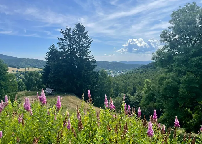 Nad Slikovkou 4*